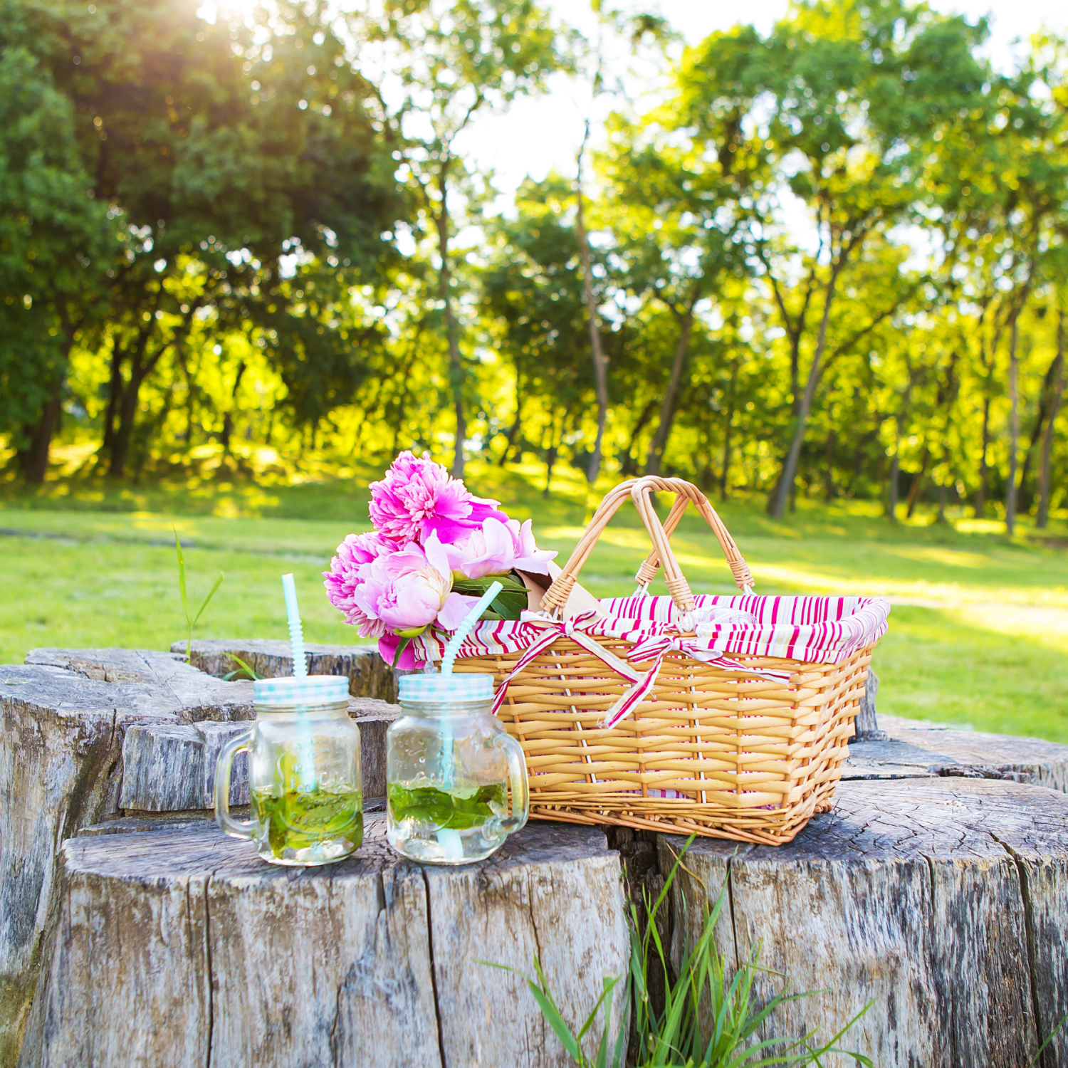 Springtime Picnics The Clean Food Way With Food Finds From Terra Powders