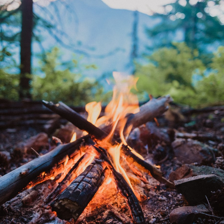 Campfire In The Woods