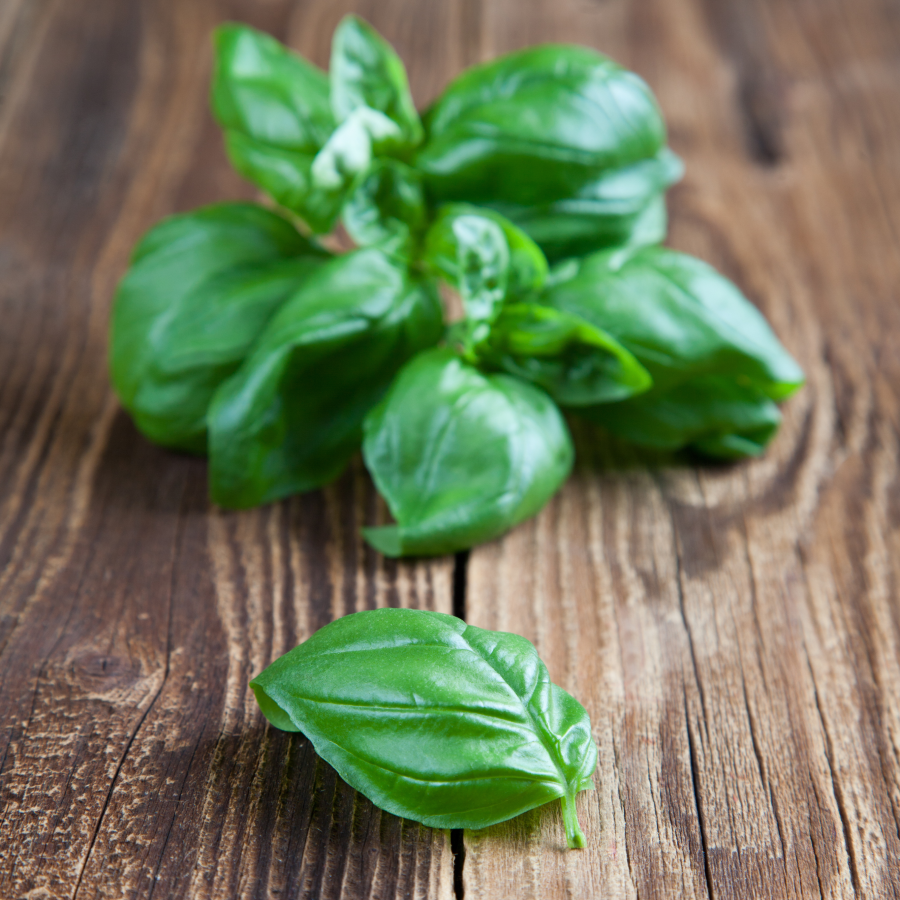 Fresh Picked Herbs Organic Basil