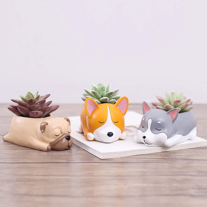 Terra Powders Adorable Animals Mini Succulent Bonsai Cactus Planter Pots